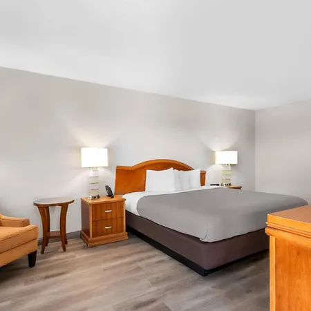 Quality Inn & Suites Lake Havasu City-3